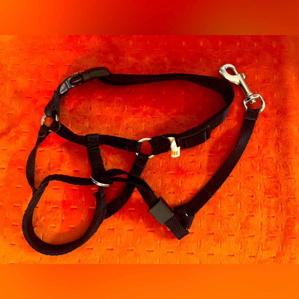 Holt Head Collar (Gentle Leader) Size 2